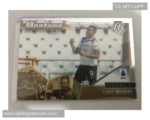 帕尼尼足球球星签字卡收藏价值分析与市场趋势探讨 帕尼尼足球球星签字卡收藏价值分析与市场趋势探讨